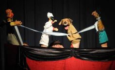 Foto de la galería: Festival Int. de Titeres Kruvikas en Posadas