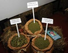 Foto de la galería: 80, Años de la estación experimental de Cerro Azul.-