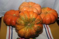 Foto de la galería: 80, Años de la estación experimental de Cerro Azul.-