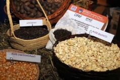 Foto de la galería: 80, Años de la estación experimental de Cerro Azul.-