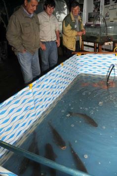 Foto de la galería: 80, Años de la estación experimental de Cerro Azul.-