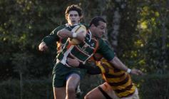 Foto de la galería: Tacurú 17-Lomas 16