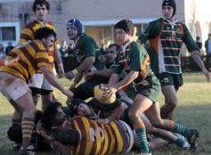 Foto de la galería: Tacurú 17-Lomas 16