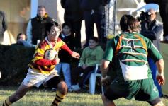 Foto de la galería: Tacurú 17-Lomas 16