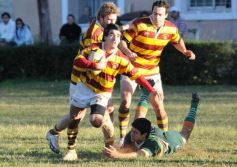 Foto de la galería: Tacurú 17-Lomas 16