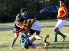 Foto de la galería: Tacurú 17-Lomas 16