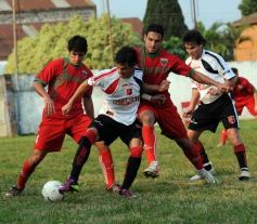 Foto de la galería: Rosamonte 1-Brown 0