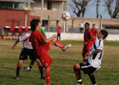 Foto de la galería: Rosamonte 1-Brown 0