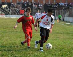 Foto de la galería: Rosamonte 1-Brown 0