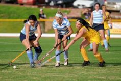 Foto de la galería: Por el 3er.Puesto-: Crucero Amarillo-Capri B.-