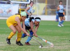 Foto de la galería: Por el 3er.Puesto-: Crucero Amarillo-Capri B.-