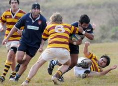 Foto de la galería: Capri 39-Tacurú 5