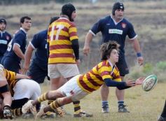 Foto de la galería: Capri 39-Tacurú 5