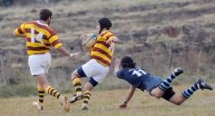 Foto de la galería: Capri 39-Tacurú 5