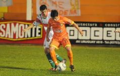 Foto de la galería: Crucero (Clacificado)-Brown