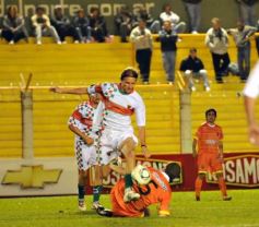 Foto de la galería: Crucero (Clacificado)-Brown