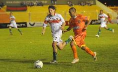 Foto de la galería: Crucero (Clacificado)-Brown