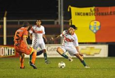 Foto de la galería: Crucero (Clacificado)-Brown