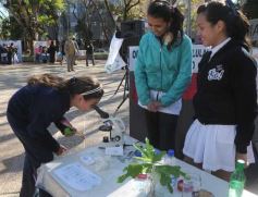 Foto de la galería: Muestra en Plaza San Martín
