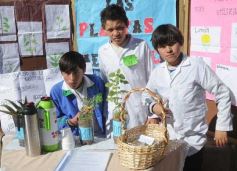 Foto de la galería: Muestra en Plaza San Martín
