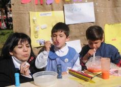 Foto de la galería: Muestra en Plaza San Martín