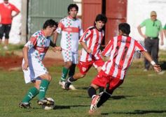 Foto de la galería: Brown 2-Sp. Patria 2