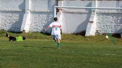 Foto de la galería: Brown 2-Sp. Patria 2