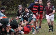 Foto de la galería: Centro 16-Lomas 27