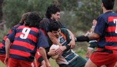 Foto de la galería: Centro 16-Lomas 27