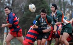 Foto de la galería: Centro 16-Lomas 27