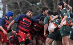 Foto de la galería: Centro 16-Lomas 27