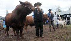 Foto de la galería: 16, Edición- Expo Virasoro
