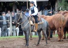 Foto de la galería: 16, Edición- Expo Virasoro