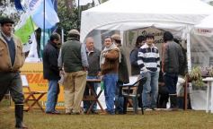 Foto de la galería: 16, Edición- Expo Virasoro