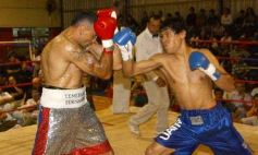 Sixto Fotografías. Deportes. Asociación Posadeña de Boxeo - La Cobra Andino-Claudio Fernandez