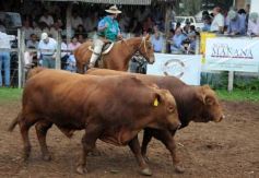 Sixto Fotografías. Sociedad. Virasoro Corrientes - Remate del Pro a Pro