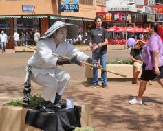 Foto de la galería: Paseos y Trabajos en Posadas