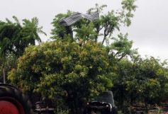 Foto de la galería: Temporal en la localidad de Profundidad