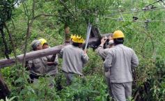 Foto de la galería: Temporal en la localidad de Profundidad