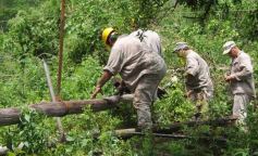 Foto de la galería: Temporal en la localidad de Profundidad