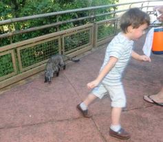 Foto de la galería: Un día en Iguazú