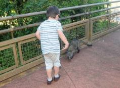 Foto de la galería: Un día en Iguazú
