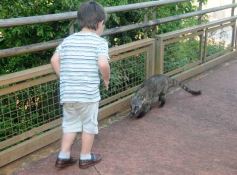 Foto de la galería: Un día en Iguazú