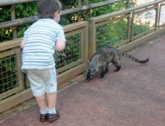 Foto de la galería: Un día en Iguazú