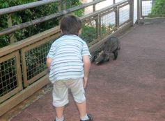 Foto de la galería: Un día en Iguazú