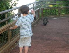 Foto de la galería: Un día en Iguazú