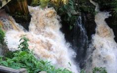 Foto de la galería: Un día en Iguazú