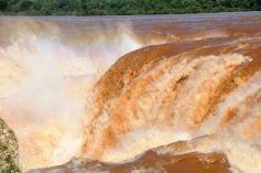Foto de la galería: Un día en Iguazú