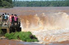 Foto de la galería: Un día en Iguazú