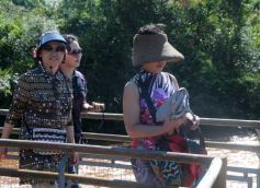 Foto de la galería: Un día en Iguazú